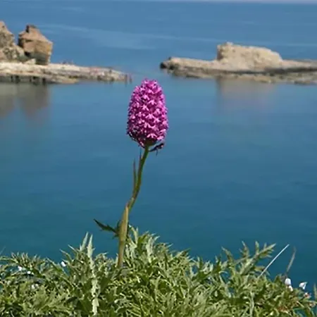 Jaktstuga Dimore Le Rocce Bianche