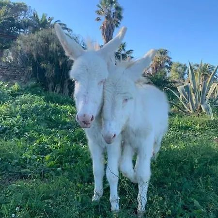 Dimore Le Rocce Bianche Augusta