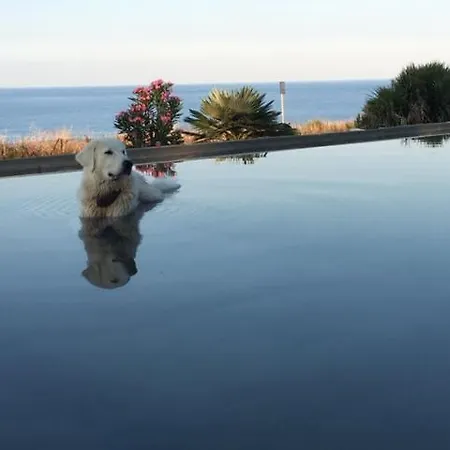 Dimore Le Rocce Bianche 山林小屋 *