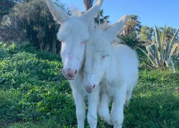 Dimore Le Rocce Bianche Augusta